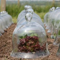 Access Glass Bells Set Of Three -XIKI Garden Shop ACCBELL10 b0b5268f 3b4d 415c 9358 dc0570589112