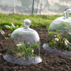 Access Glass Bells 15 Access Glass Bells -XIKI Garden Shop ACCBELL6