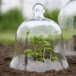 Access Glass Bells Set Of Three -XIKI Garden Shop ACCBELL7 65121133 6d80 408f b7e3 013e5b908dc9