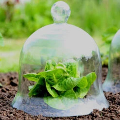 Access Glass Bells 17 Access Glass Bells -XIKI Garden Shop ACCBELL8