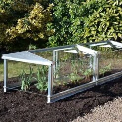 Access Glass Cloche -XIKI Garden Shop ACCCLO5