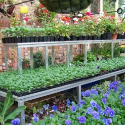 Commercial Bench Extra Tier 9 Commercial Bench Extra Tier -XIKI Garden Shop CBET6