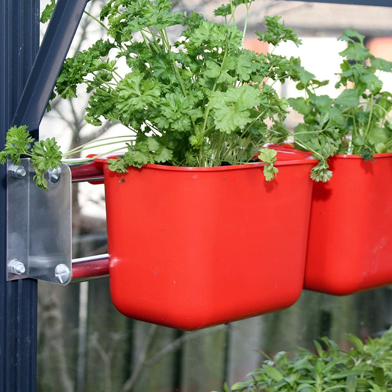 Caddy Rack 3 Caddy Rack - Image 3