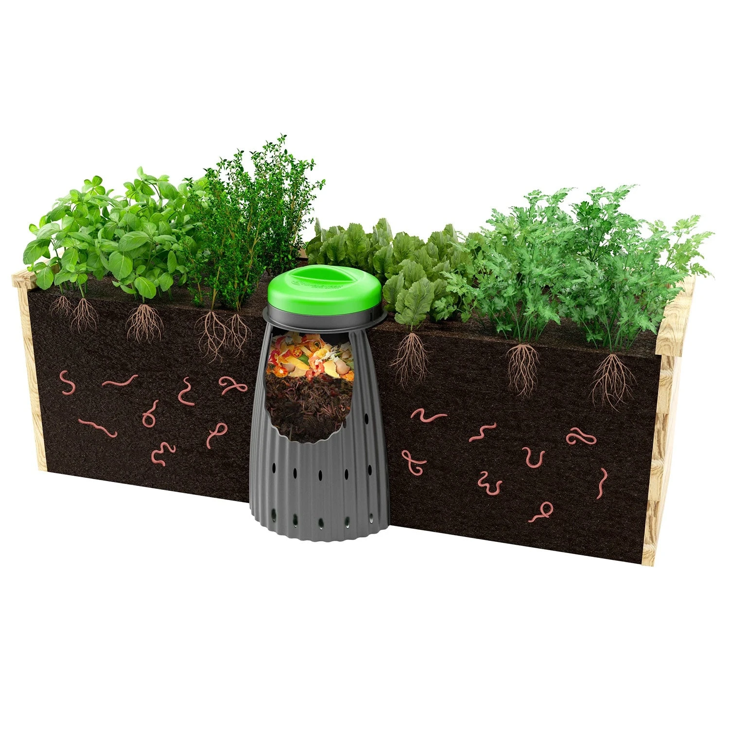 Tumbleweed Worm Buffet Worm Farm Complete Package Deal 2 Tumbleweed Worm Buffet Worm Farm Complete Package Deal - Image 2
