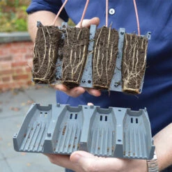 28 Cell Deep Root Plant Cells 15 28 Cell Deep Root Plant Cells -XIKI Garden Shop DRPC288