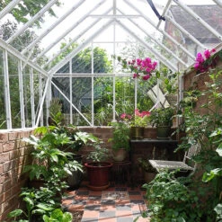 Elite Thyme 6'3" Wide Greenhouse For Dwarf Wall -XIKI Garden Shop ETM6DW3