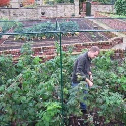 Deluxe 6' High Fruit Cage 7 Deluxe 6' High Fruit Cage -XIKI Garden Shop FCD62