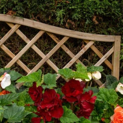 Venice Wooden Planter 17 Venice Wooden Planter -XIKI Garden Shop FGFPV5