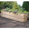 Caledonian Trough Raised Bed