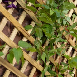 Forest Garden Trellis Planter 6 Forest Garden Trellis Planter -XIKI Garden Shop FGTPLAHD2