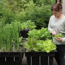 Ergrownomics - Four Square Planter Set 13 Ergrownomics - Four Square Planter Set -XIKI Garden Shop FSPM3