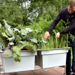 Ergrownomics - Four Square Planter Set 12 Ergrownomics - Four Square Planter Set -XIKI Garden Shop FSPM4