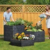 Ergo Raised Bed