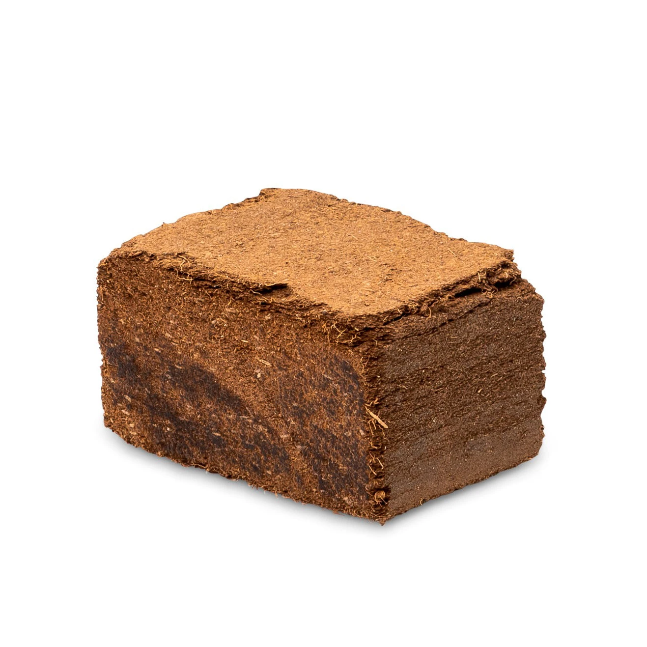 Maze Wormery 16 Maze Wormery - Image 16