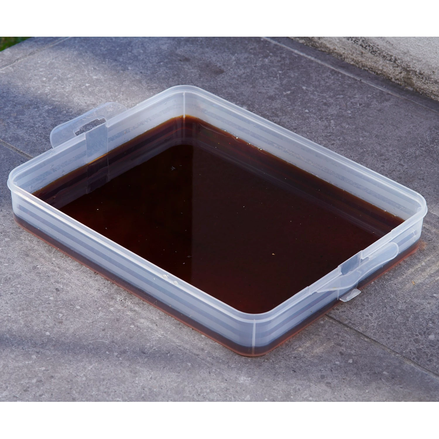 Maze Wormery 13 Maze Wormery - Image 13