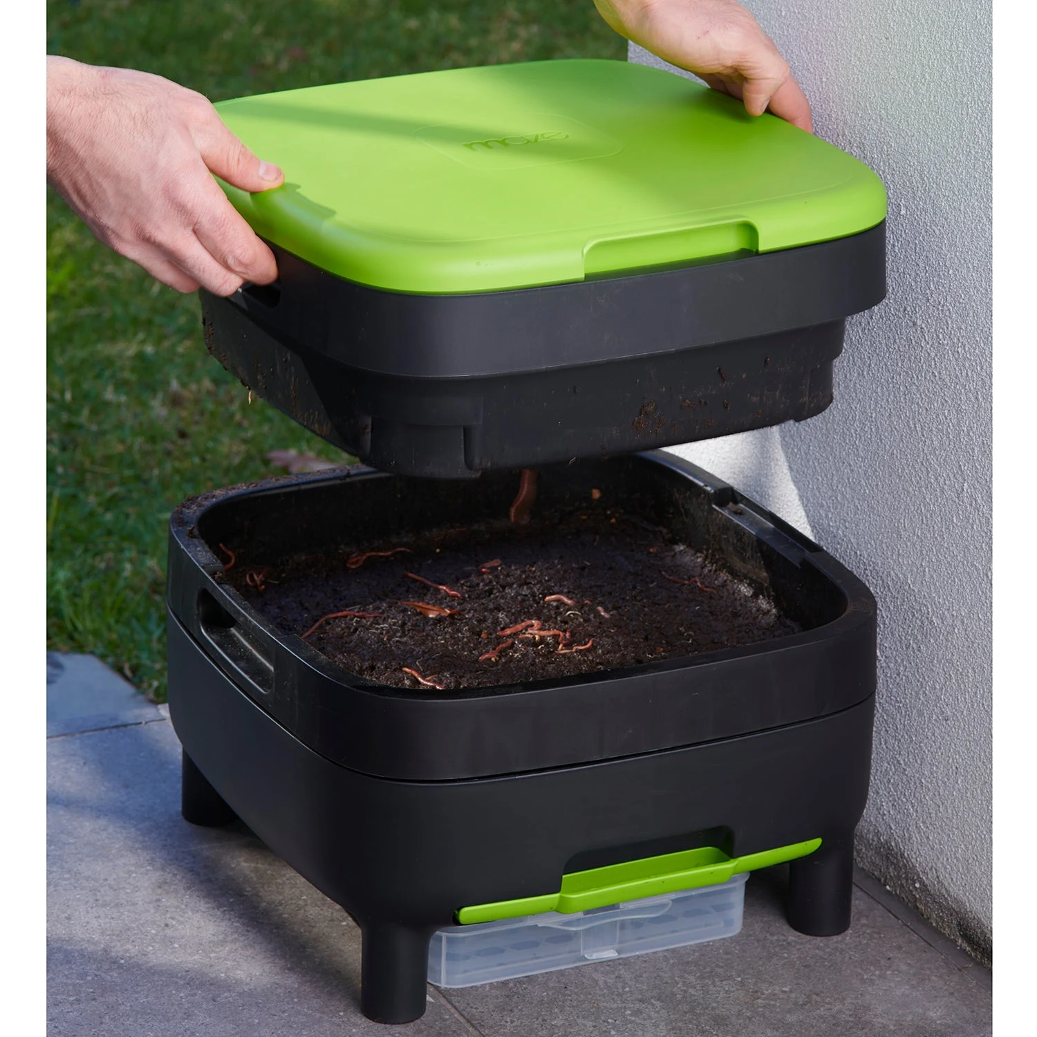 Maze Wormery 1 Maze Wormery