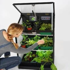 Sprout S6 Smart Mini Greenhouse 23 Sprout S6 Smart Mini Greenhouse -XIKI Garden Shop HASP612