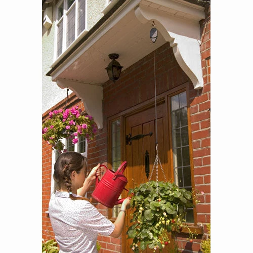 Hilo 2 Hilo - Image 2