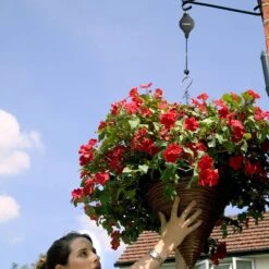 Hilo 6 Hilo -XIKI Garden Shop HILO5