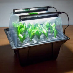 Hydropod Propagator -XIKI Garden Shop HYCP19