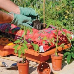 Hozelock Growbag Waterer 13 Hozelock Growbag Waterer -XIKI Garden Shop HZGBW7