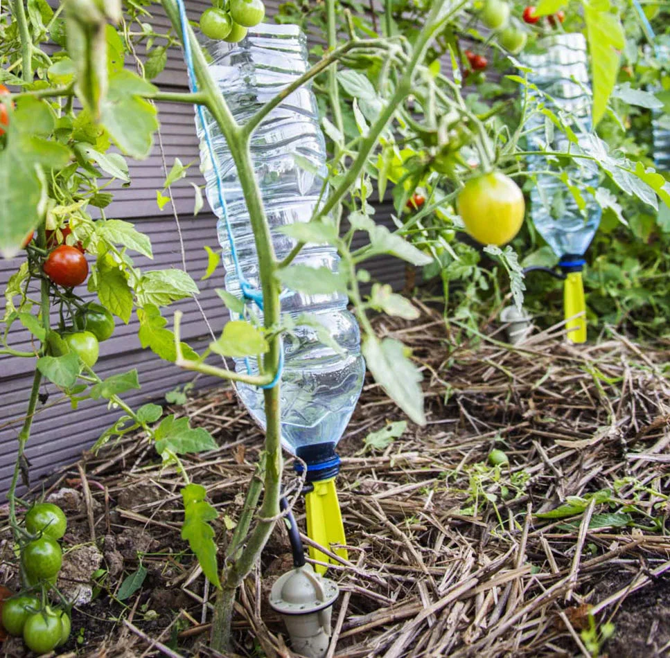 Iriso Watering Spike 2 Iriso Watering Spike - Image 2