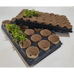 Shuttle Trays With Jiffy Pots -XIKI Garden Shop JPST4