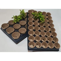 Shuttle Trays With Jiffy Pots -XIKI Garden Shop JPST5