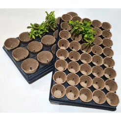 Shuttle Trays With Jiffy Pots -XIKI Garden Shop JPST6
