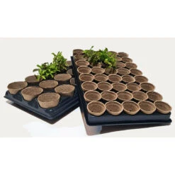 Shuttle Trays With Jiffy Pots -XIKI Garden Shop JPST7