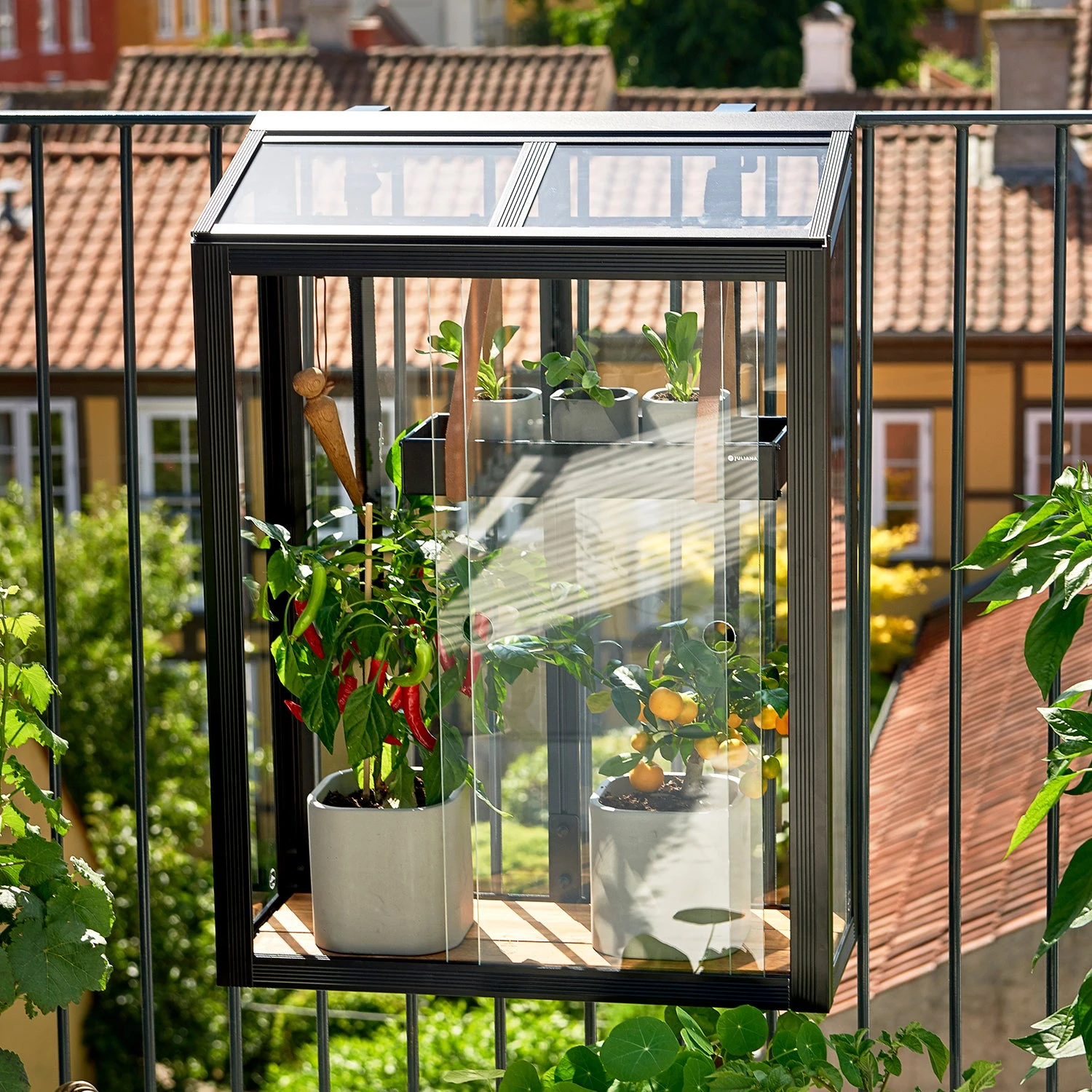 Juliana Balcony Greenhouse 16 Juliana Balcony Greenhouse - Image 16
