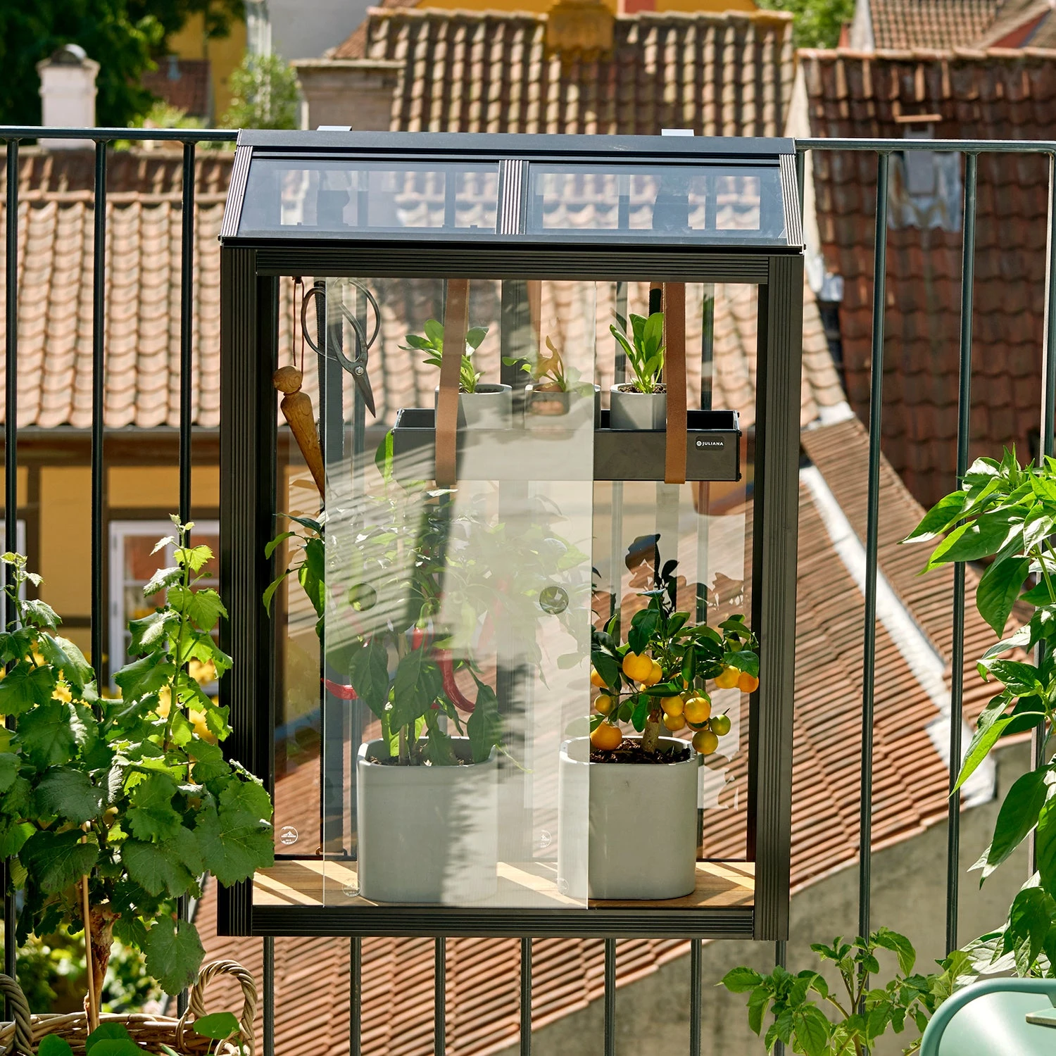 Juliana Balcony Greenhouse 1 Juliana Balcony Greenhouse