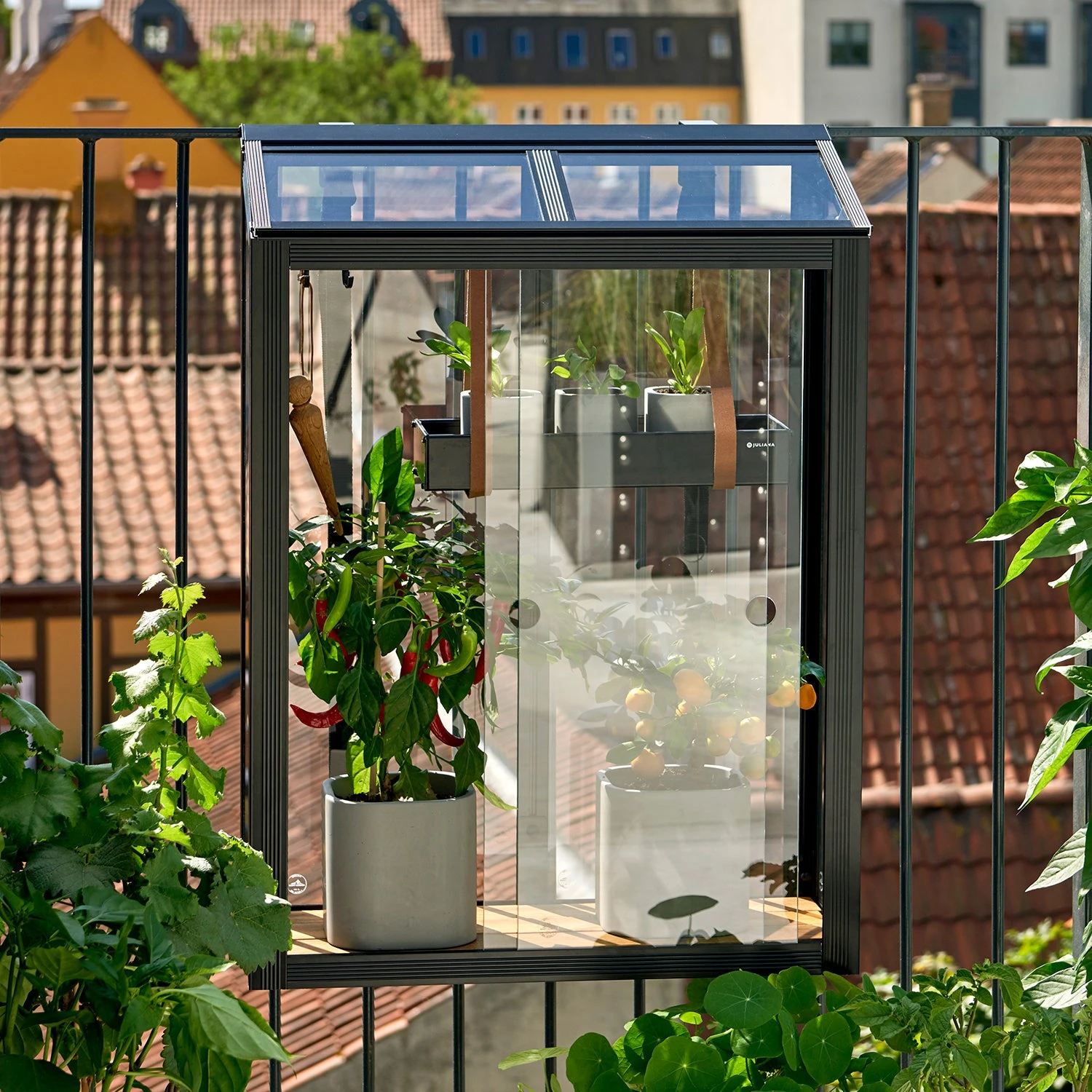 Juliana Balcony Greenhouse 15 Juliana Balcony Greenhouse - Image 15