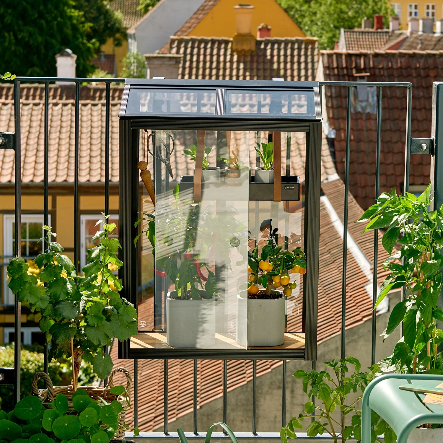 Juliana Balcony Greenhouse 14 Juliana Balcony Greenhouse - Image 14