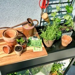 Juliana Vertical Greenhouse -XIKI Garden Shop JUVERTICAL14