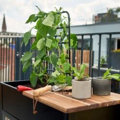 Juliana Vertical Greenhouse -XIKI Garden Shop JUVERTICAL2