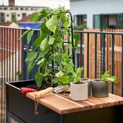 Juliana Vertical Greenhouse -XIKI Garden Shop JUVERTICAL3