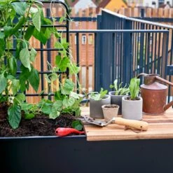 Juliana Vertical Greenhouse -XIKI Garden Shop JUVERTICAL5