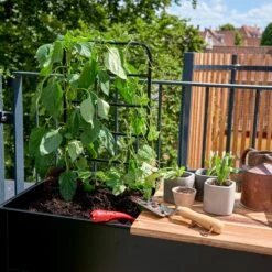 Juliana Vertical Greenhouse -XIKI Garden Shop JUVERTICAL8