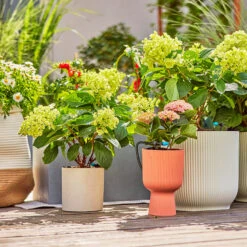 Gardena Micro Drip Irrigation Drip Starter Set -XIKI Garden Shop LDMDISK12