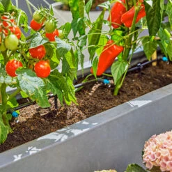 Gardena Micro Drip Irrigation Drip Starter Set -XIKI Garden Shop LDMDISK4