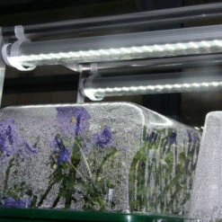 LED Light Stands -XIKI Garden Shop LLS4