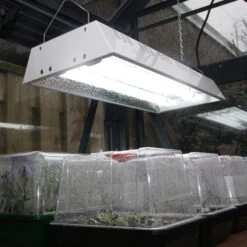Maxibright Propagation Lights 16 Maxibright Propagation Lights -XIKI Garden Shop MPL7