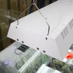 Maxibright Propagation Lights 17 Maxibright Propagation Lights -XIKI Garden Shop MPL8