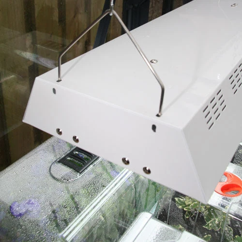 Maxibright Propagation Lights 8 Maxibright Propagation Lights - Image 8