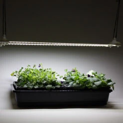 Cosmorrow LED Grow Lights 13 Cosmorrow LED Grow Lights -XIKI Garden Shop MXCGLLB4711