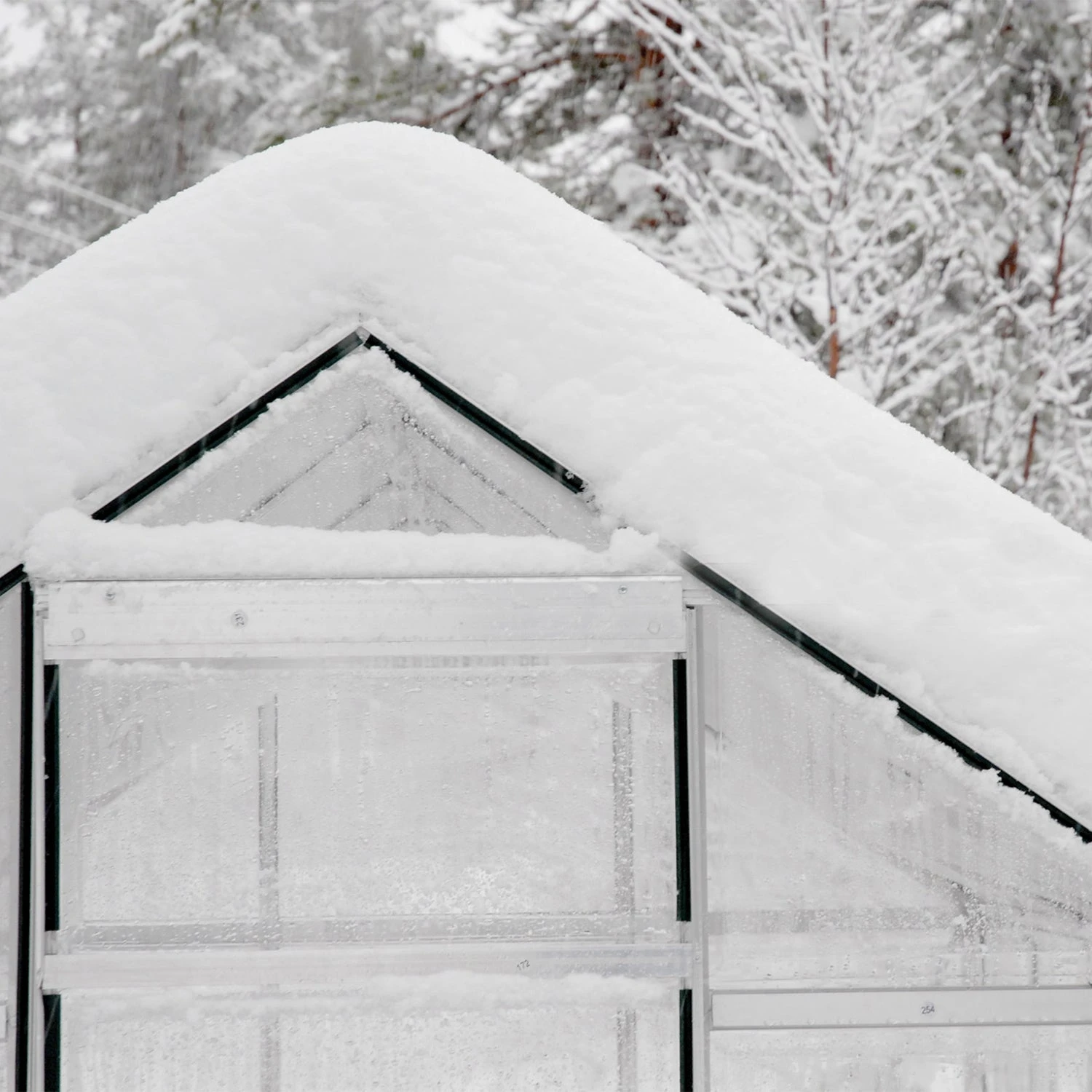 6X4 Greenhouse - Palram Canopia Harmony 8 6X4 Greenhouse - Palram Canopia Harmony - Image 8