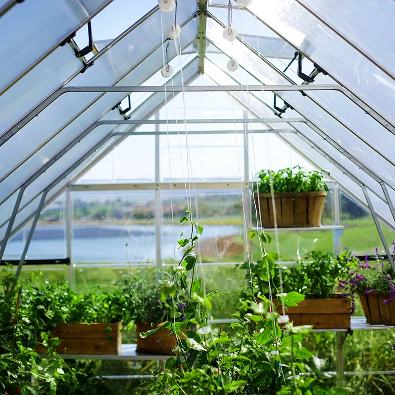 Palram Canopia Balance 10ft Wide Greenhouse 19 Palram Canopia Balance 10ft Wide Greenhouse - Image 19