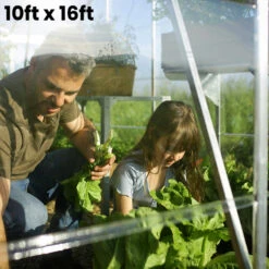 Palram Canopia Balance 10ft Wide Greenhouse 27 Palram Canopia Balance 10ft Wide Greenhouse -XIKI Garden Shop PRBA1024