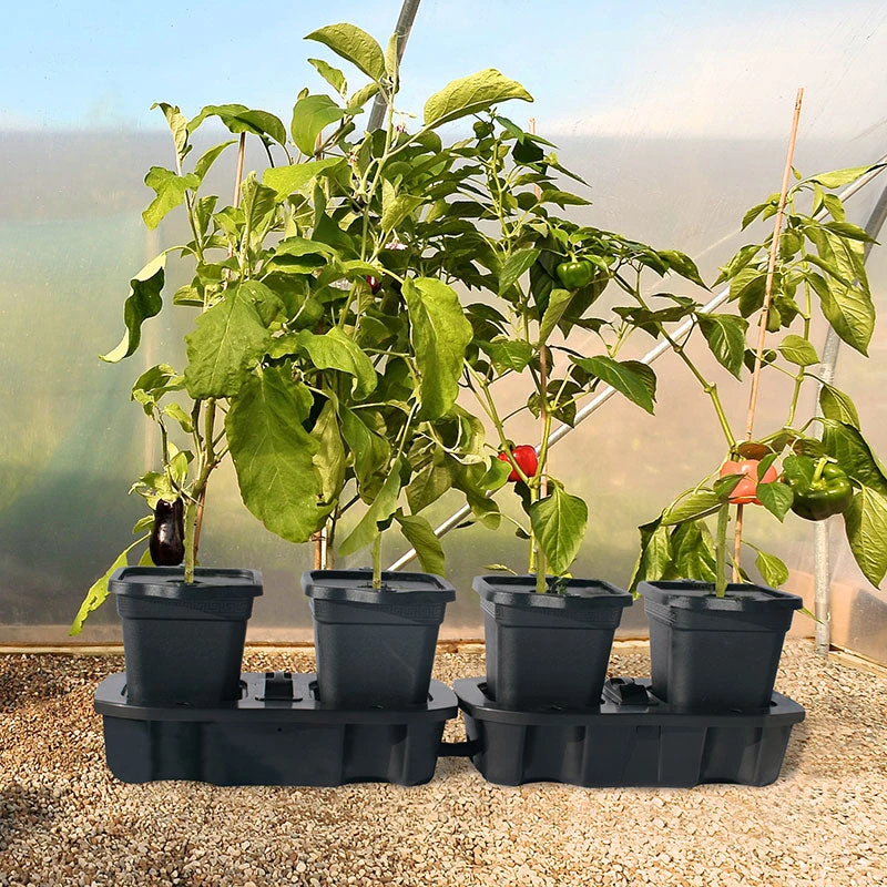 Quadgrow Planter 9 Quadgrow Planter - Image 9